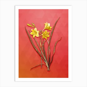 Vintage Daylily Botanical Art on Fiery Red n.0454 Art Print