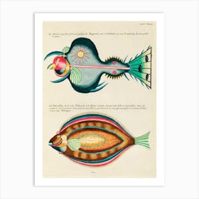 Colourful And Surreal Illustrations Of Fishes Found In Moluccas (Indonesia) And The East Indies, Louis Renard(79) Art Print