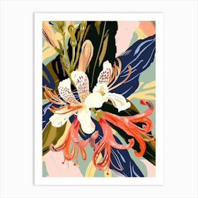 Colourful Flower Illustration Honeysuckle 1 Art Print