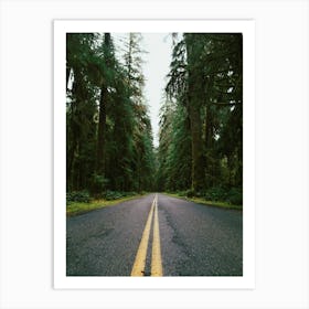 Pacific Northwest Rainforest Drive Art Print