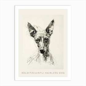 Xoloitzcuintli Hairless Dog Line Sketch 1 Poster Art Print