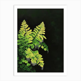 Southern Maidenhair Fern Painting 1 Art Print