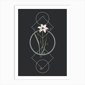 Vintage Lady Tulip Botanical with Geometric Line Motif and Dot Pattern n.0180 Art Print