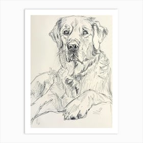 Golden Retriever Dog Line 2 Art Print