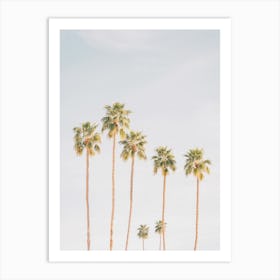 Socal Palm Trees Art Print