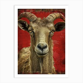 Goat On A Red Background Art Print