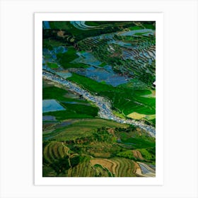 Rice Fields In Vietnam Art Print