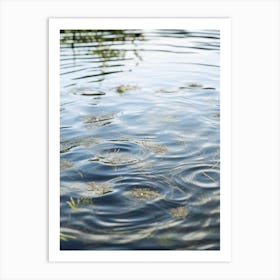 Reflections In The Water Art Print