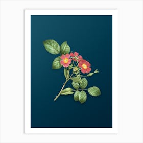 Vintage Redleaf Rose Botanical Art on Teal Blue n.0445 Art Print