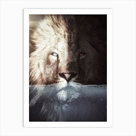 The King Lion In His Bath Art Print