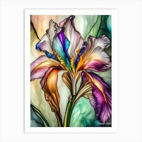 Colorful Iris Art Print