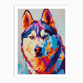 Husky dog colourful painting Art Print