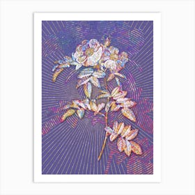 Geometric Shining Rosa Lucida Mosaic Botanical Art on Veri Peri n.0269 Art Print