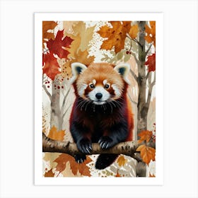 Red Panda In Autumn Art Print