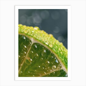 Water Droplets On Lime 4 Art Print