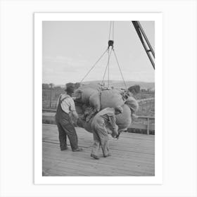 Sacks Of Green Hops Are Hoisted To Kiln Platform, Yakima Washington By Russell Lee Art Print