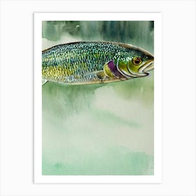 Cod II Storybook Watercolour Art Print