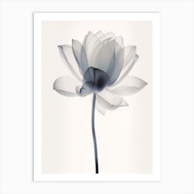 X Ray Flower 2 Art Print