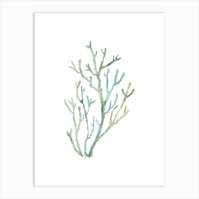 Coral Branch Watercolor Painting 1 Art Print