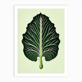 Radish Leaf Vintage Botanical 3 Art Print