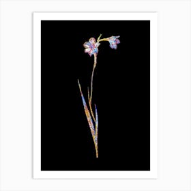 Stained Glass Sword Lily Mosaic Botanical Illustration on Black n.0205 Art Print