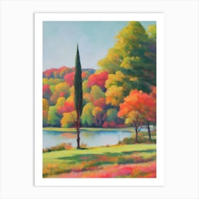 Conifers Tree Watercolour 1 Art Print