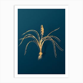 Vintage Lachenalia Angustifolia Botanical in Gold on Teal Blue Art Print