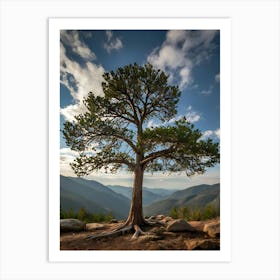 Lone Pine Tree Art Print