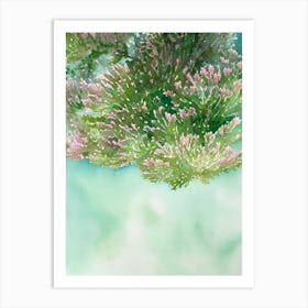 Acropora Rongelapensis Storybook Watercolour Art Print