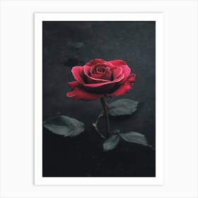 Dark Rose 111 Art Print