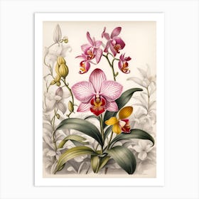 Orchids 4 Art Print