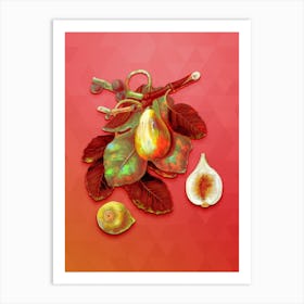 Vintage Common Fig Botanical Art on Fiery Red Art Print