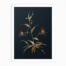 Vintage Flame Lily Botanical Watercolor Illustration on Dark Teal Blue n.0952 Art Print