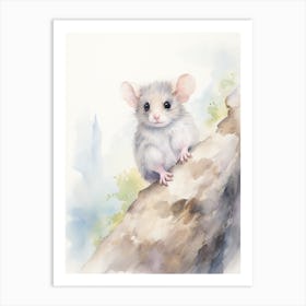 Light Watercolor Painting Of A Mountain Pygmy Possum 3 Art Print