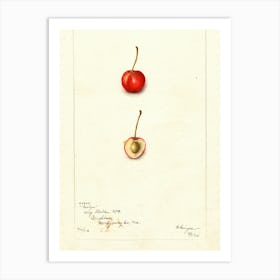 Two Cherries Art Print