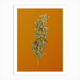 Vintage Kraal Honey Thorn Botanical on Sunset Orange n.0705 Art Print