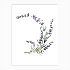 Watercolor Lavender Flower Art Print