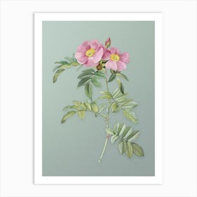 Vintage Shining Rosa Lucida Botanical Art on Mint Green n.0507 Art Print