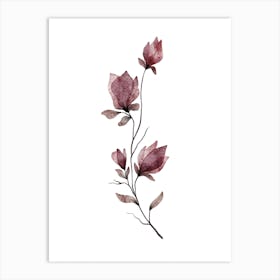 Magnolia Art Print