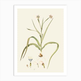 Lily Of The Valley 37 Art Print