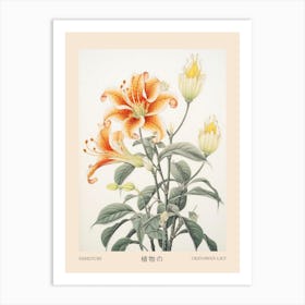 Himeyuri Okinawan Lily 2 Vintage Japanese Botanical Poster Art Print