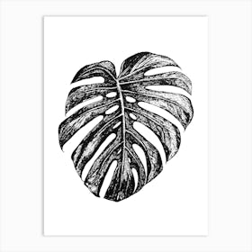 Black and White Monstera Leaf Illustration Art Print