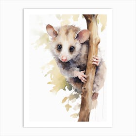 Light Watercolor Painting Of A Hanging Possum 3 Art Print
