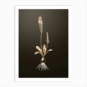 Gold Botanical Scilla Obtusifolia on Chocolate Brown n.3044 Art Print