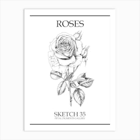 Roses Sketch 35 Poster Art Print