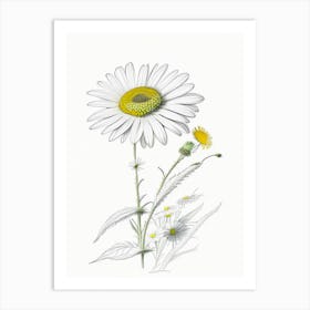 Daisy Floral Quentin Blake Inspired Illustration 1 Flower Art Print