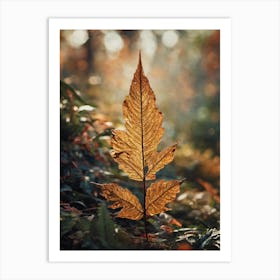 Autumn Leaf Art Print