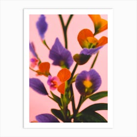 African Violet Colourful Illustration Art Print