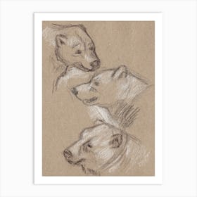 Bears Sketch 1 Art Print