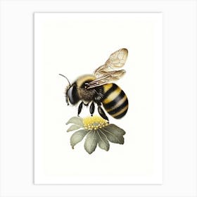 Bumblebee 3 Vintage Art Print